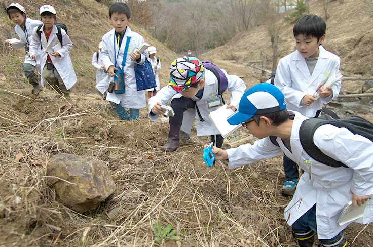 Aquatic Organism Research Image