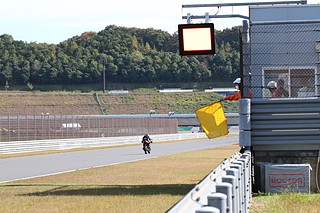 Photo Gallery on October 30, 2022 (Sun)