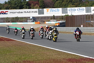 Photo Gallery on October 30, 2022 (Sun)