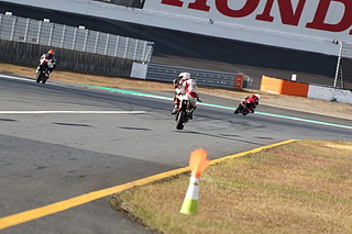 Photo Gallery on October 30, 2022 (Sun)