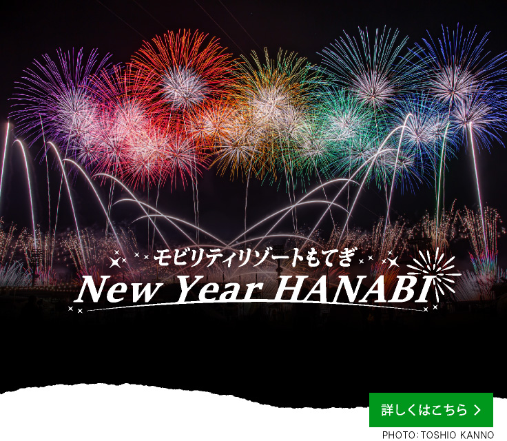View details of the Winter Firework Festival