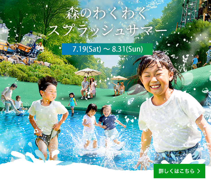 Summer Events