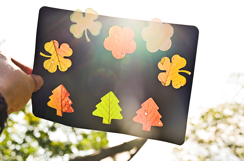 Fallen Leaf Stained Glass Art Frame