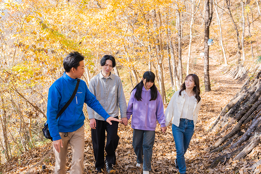 Autumn Acorn Adventure: Acorn Forest Guided Walk