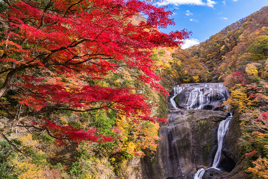 Fukuroda Falls
