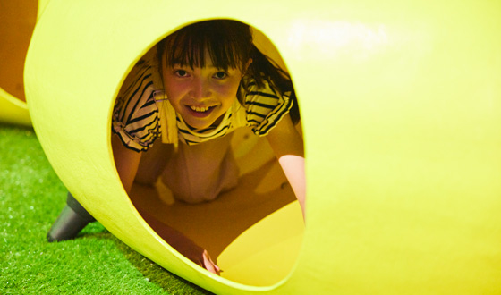 A hide-and-seek game in the forest that the whole family will be excited about!