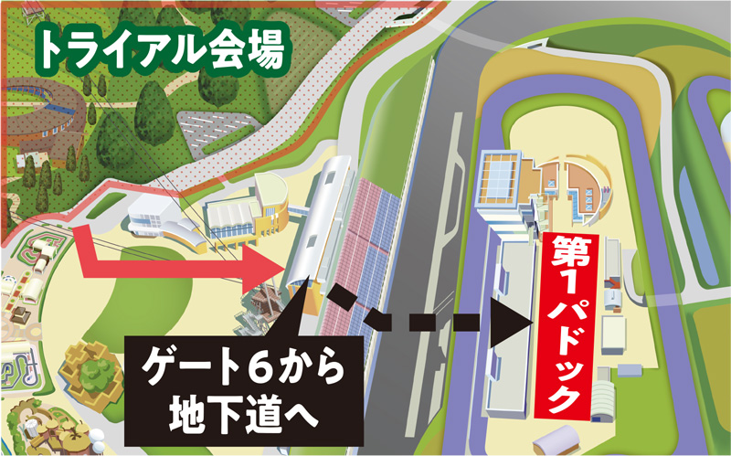 Paddock 1