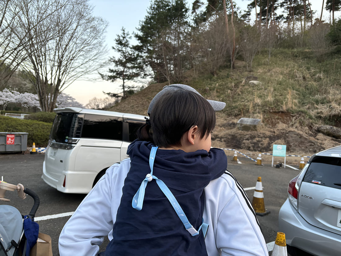 全体的な印象