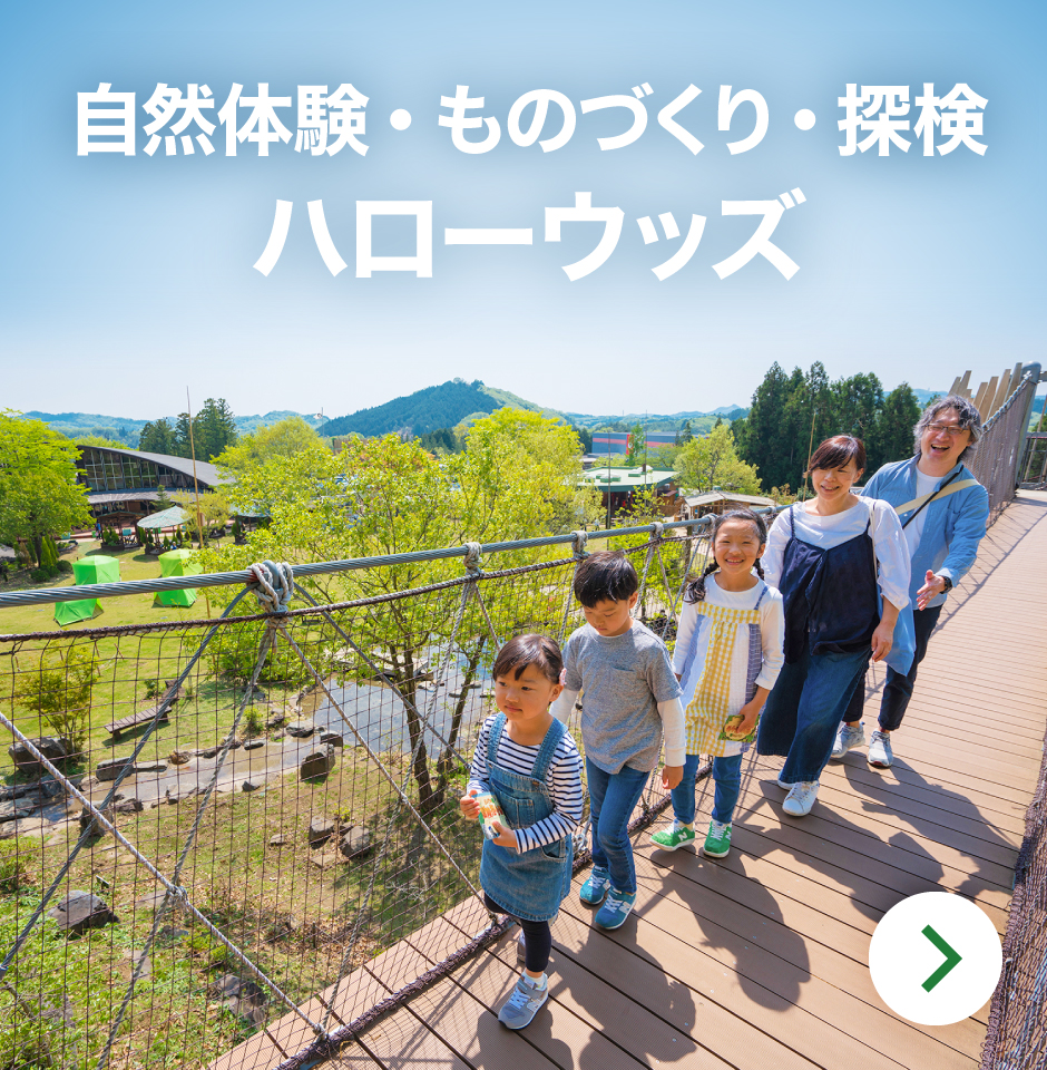 自然体験・ものづくり・探検 ハローウッズ