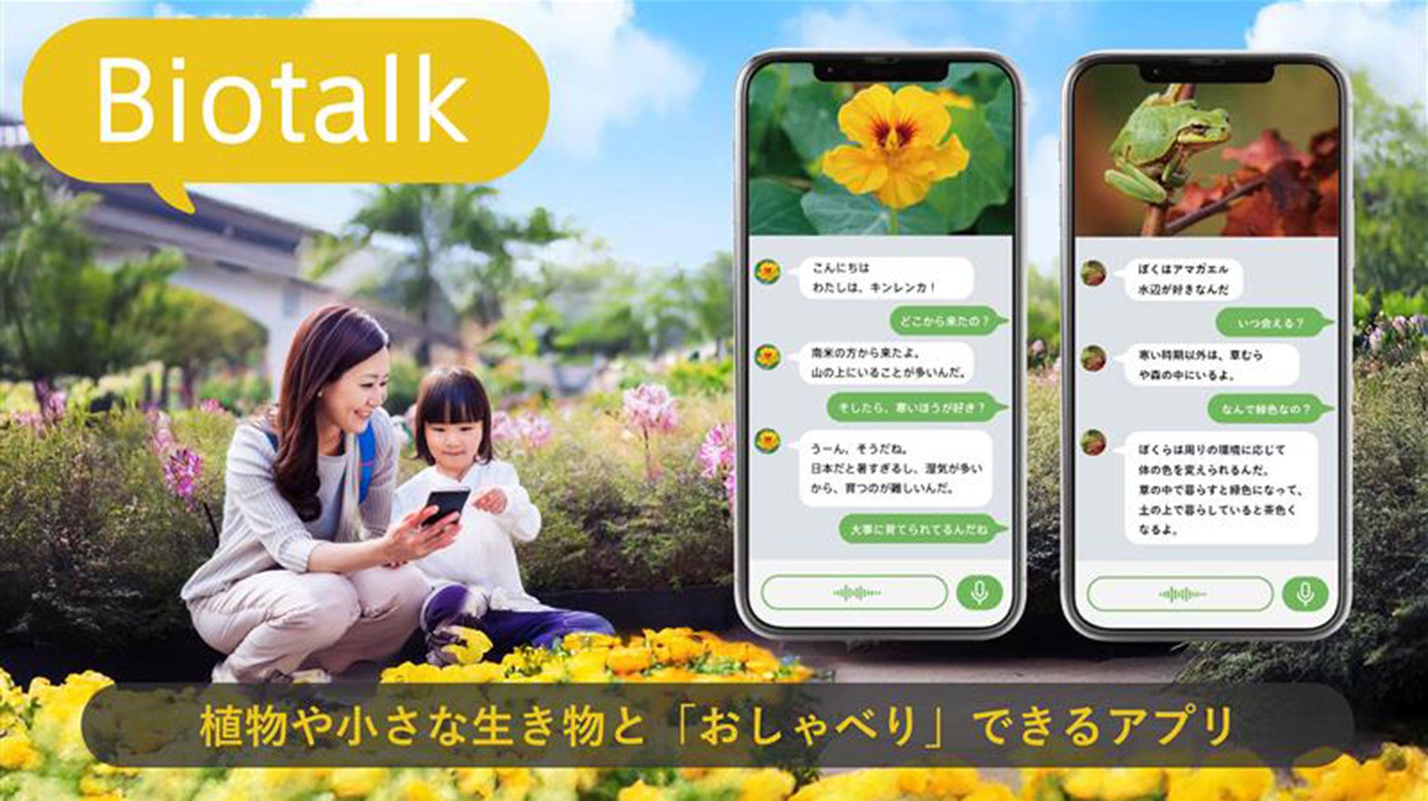 森のファミリーウォーTEKUTEKU×Biotalk