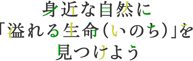 身近な自然に「溢れる生命（いのち）」を見つけよう