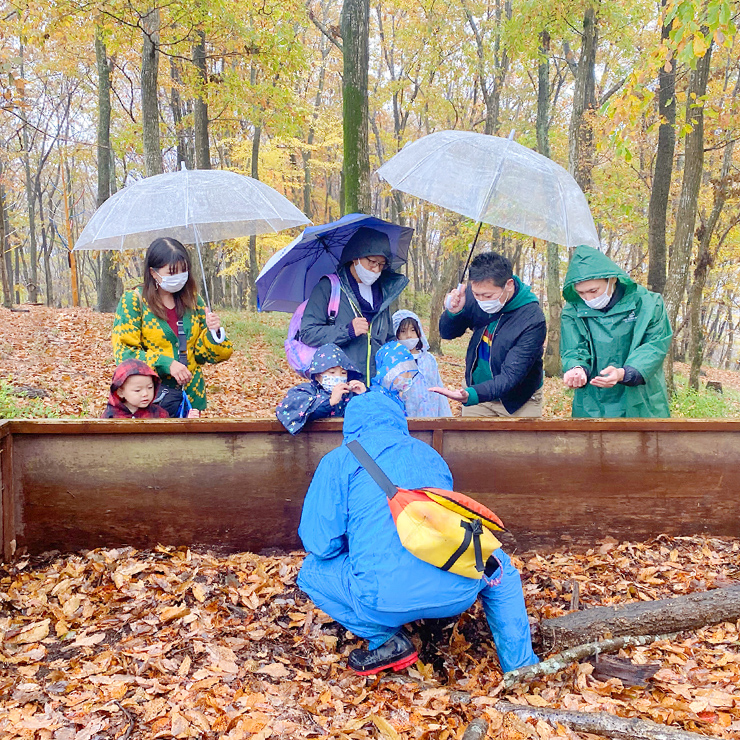 秋雨のハローウッズの森に行ってみた