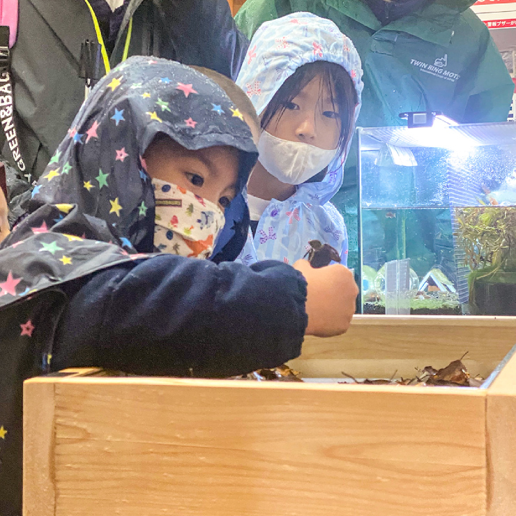 秋雨のハローウッズの森に行ってみた