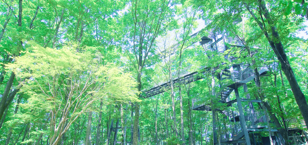 樹冠タワー