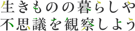 生きものの暮らしや不思議を観察しよう
          