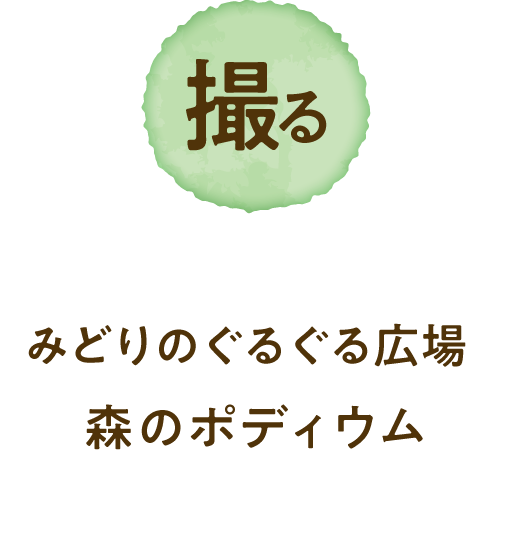 撮る