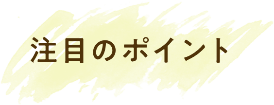 注目のポイント