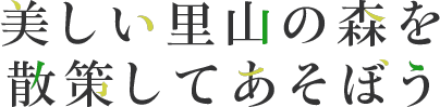 美しい里山の森を散策して遊ぼう