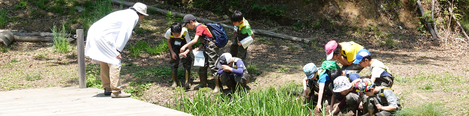 小学生会員「水生生物キッズ研究員」