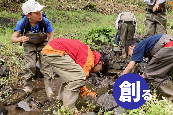 水生生物の研究イメージ