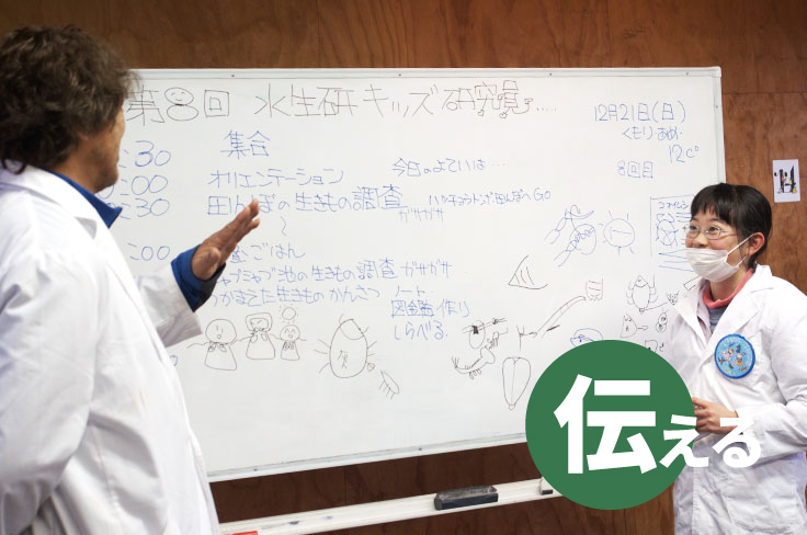 水生生物の研究イメージ