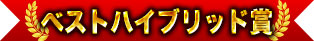 ベストハイブリッド賞