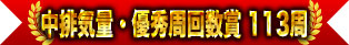 中排気量・優秀周回数賞 113周