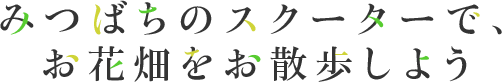 みつばちのスクーターで、お花畑をお散歩しよう