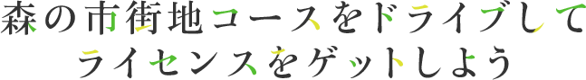 森の市街地コースをドライブして交通ルールを学ぼう