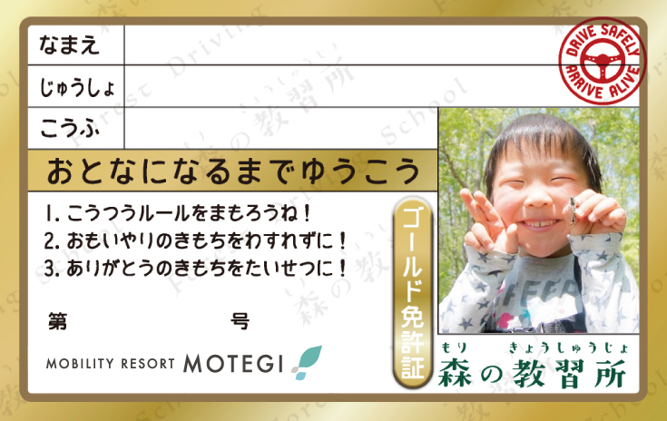 森の教習所・ゴールド