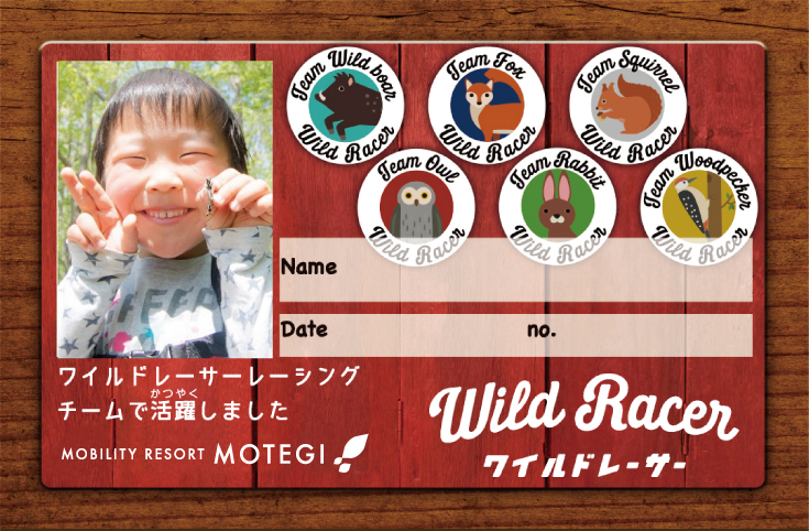 ワイルドレーサー