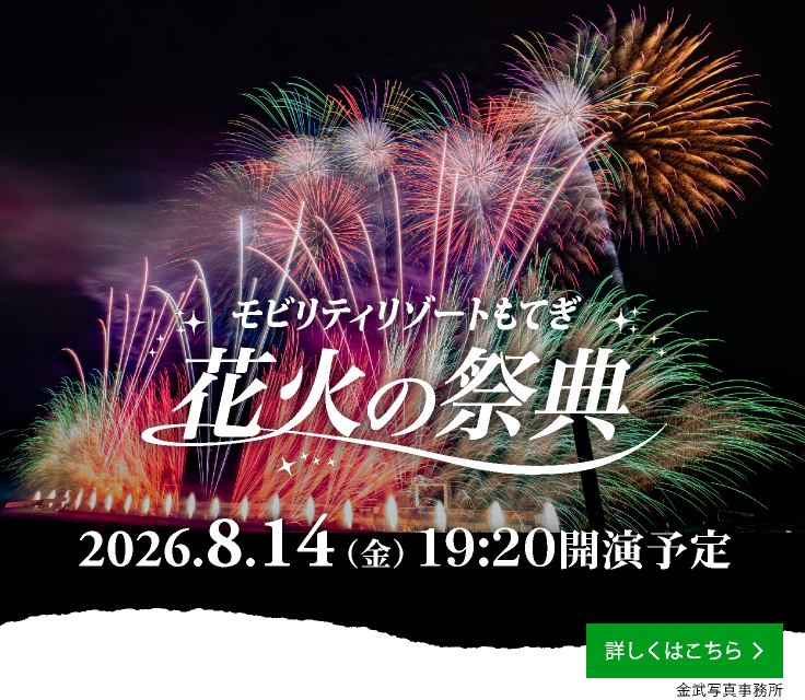 花火の祭典 夏