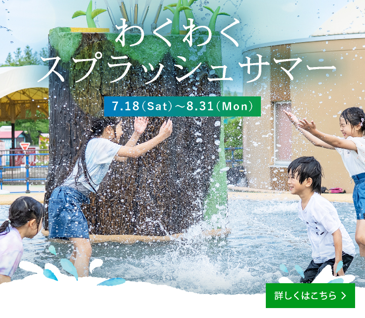 夏のイベント
