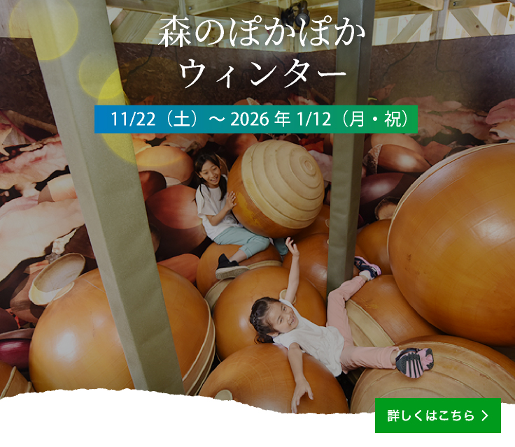 秋・冬のイベント