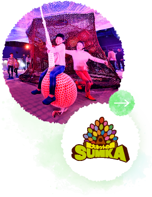 巨大ネットの森 SUMIKA