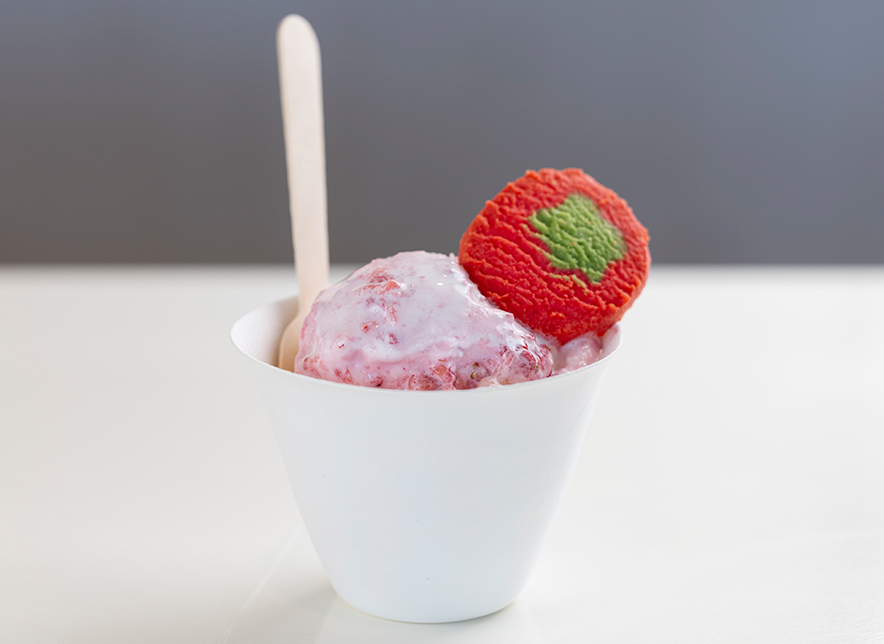 SPRING FOOD