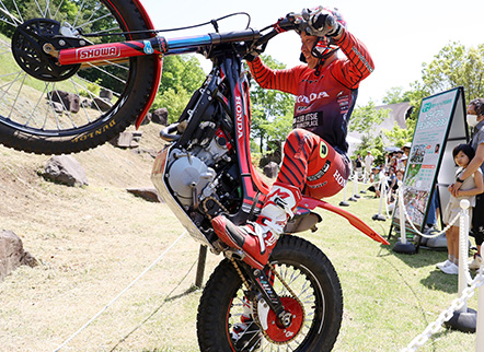 トライアルデモンストレーション