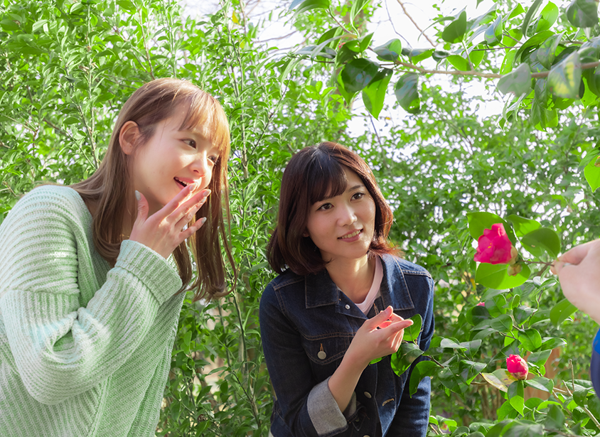どんぐりの森ガイドウォーク