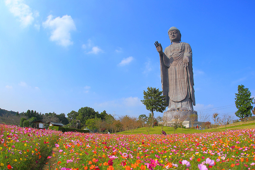 牛久大仏
