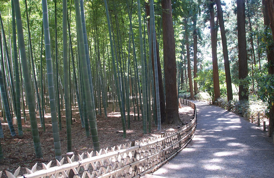 偕楽園