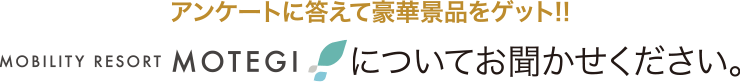 モビリティリゾートもてぎについてお聞かせください。