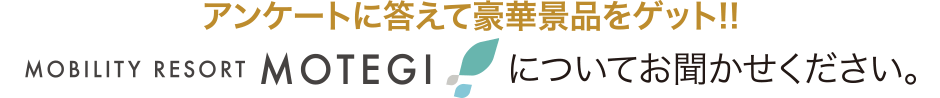 モビリティリゾートもてぎについてお聞かせください。