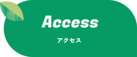 ACCESS