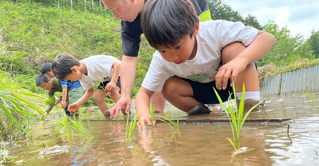 親子山林體驗遊戲