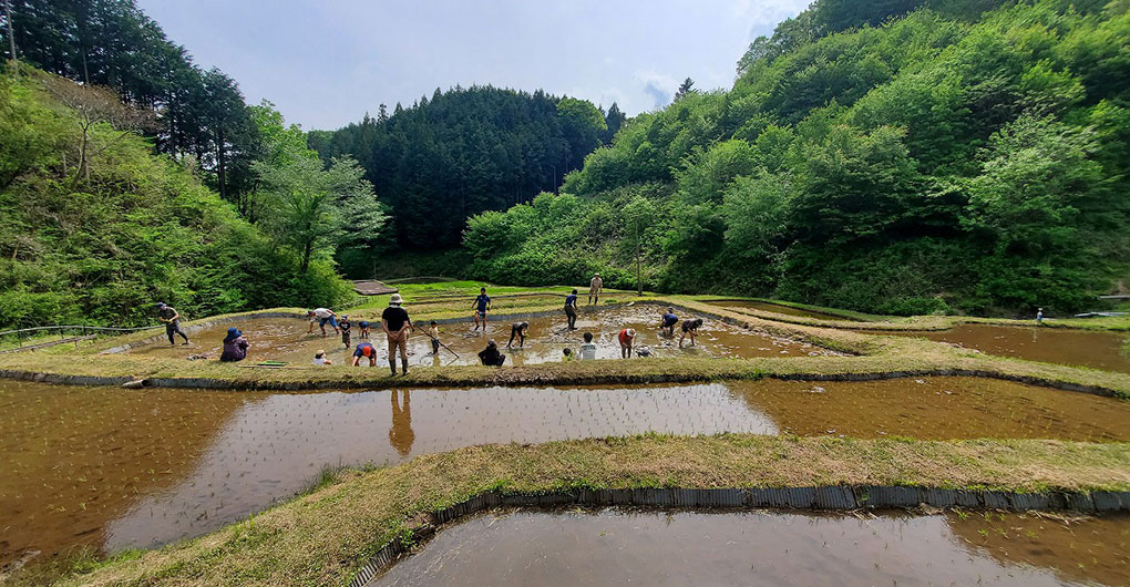 親子山林體驗遊戲