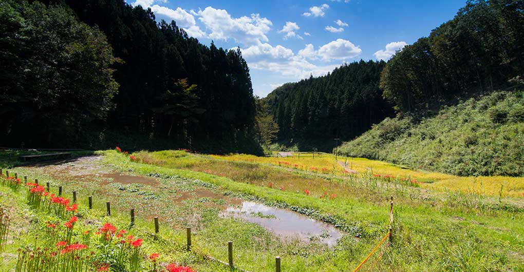 親子山林體驗遊戲