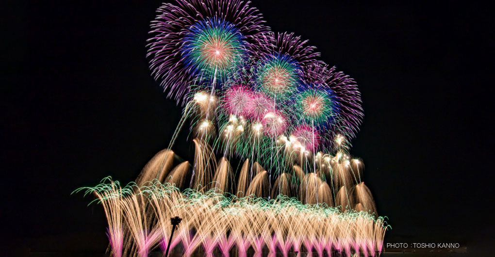 橡果廣場網站～煙花節計劃～