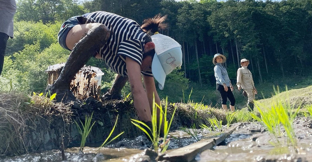 附贈新米禮物！親子里山體驗遊戲～插秧～