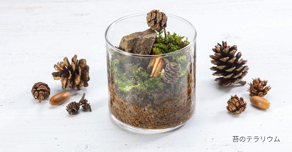 使用Hello Woods素材的手作體驗