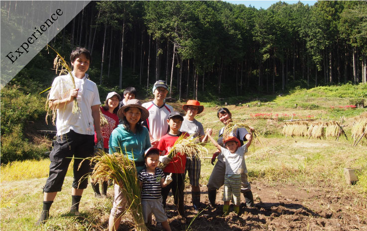 親子山林體驗遊戲
